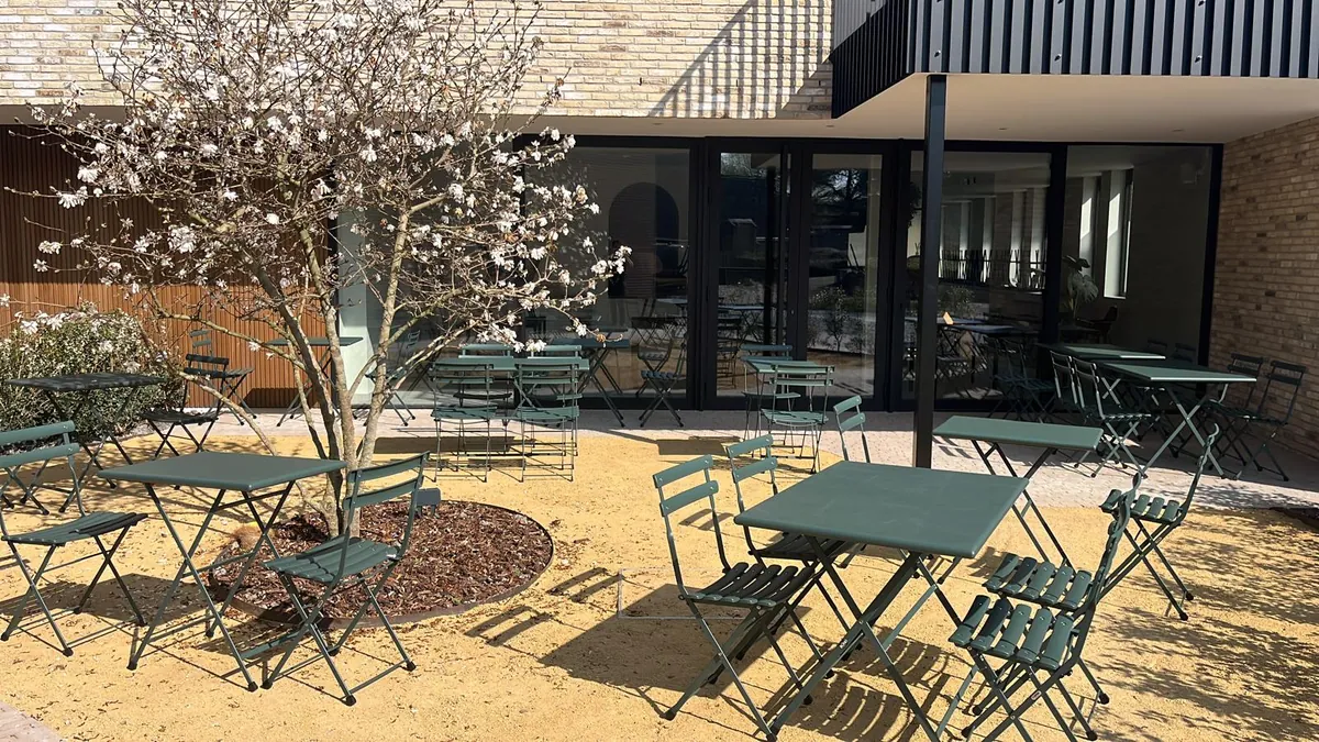 Het zonnige terras van Ma Bouffe met groene tafels en stoelen rond een bloeiende boom
